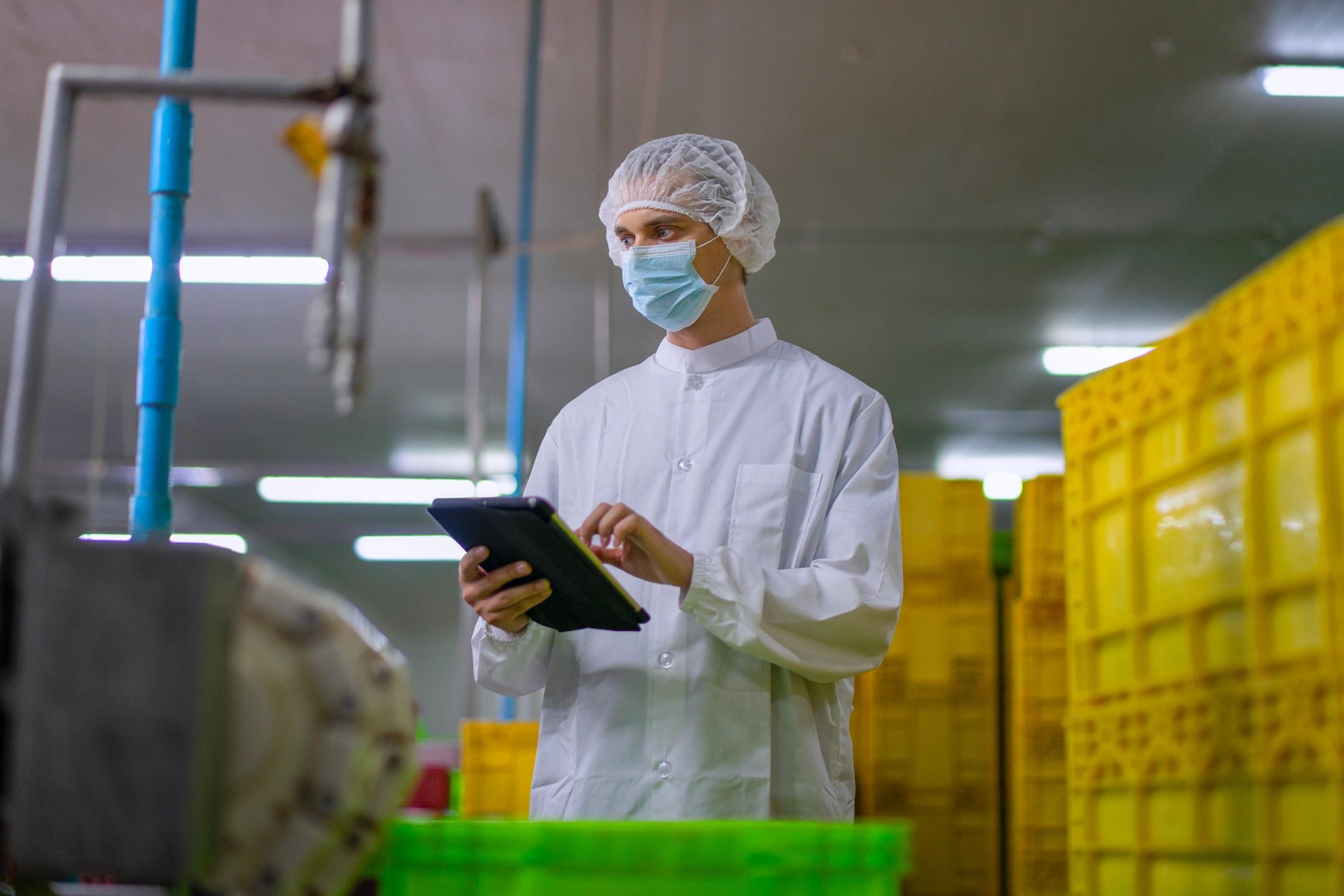 food safety consulting modern corporate